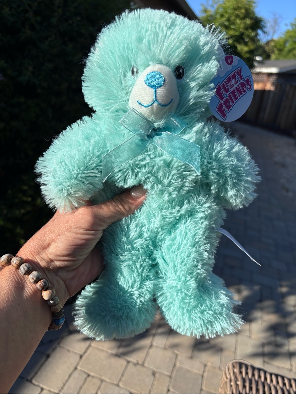 FRIENDS Aqua Fuzzy Friends Plush Teddy with Ribbon